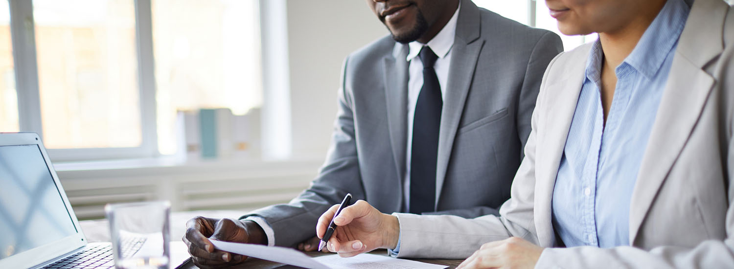 Director of supplier diversity jobs
